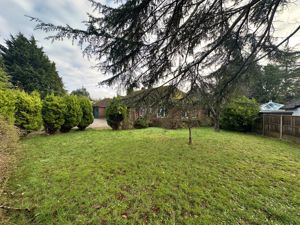 Photo 31- click for photo gallery